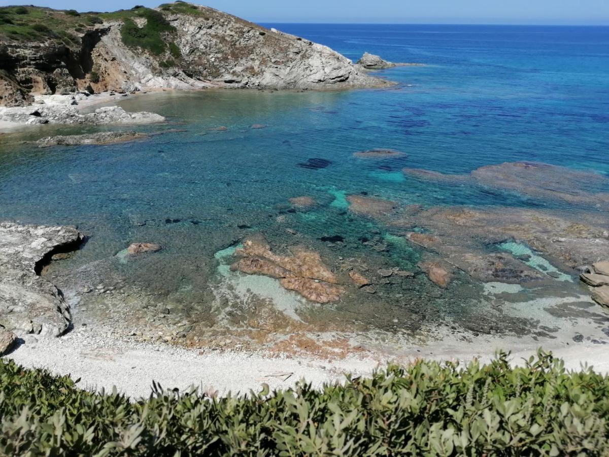 Le Palme Holidays Palmadula Dış mekan fotoğraf