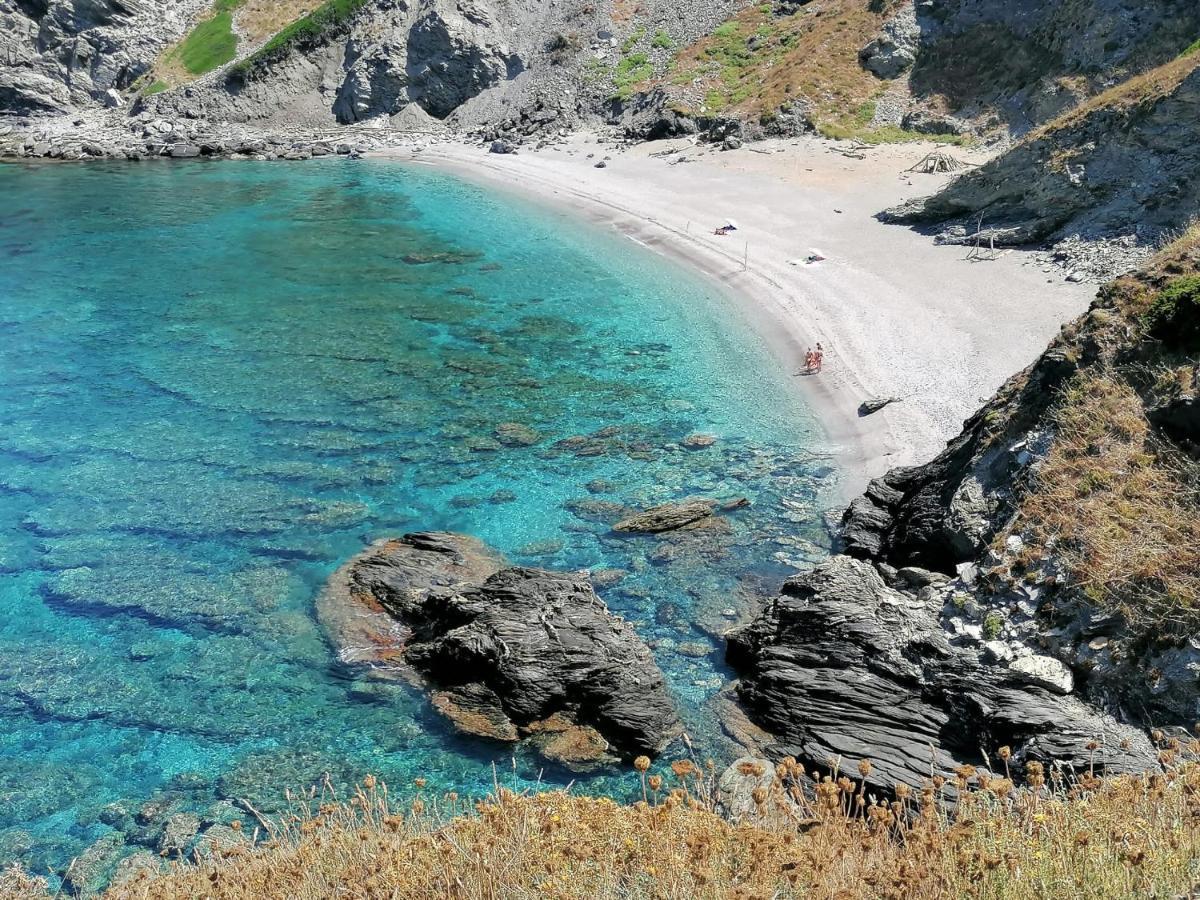 Le Palme Holidays Palmadula Dış mekan fotoğraf