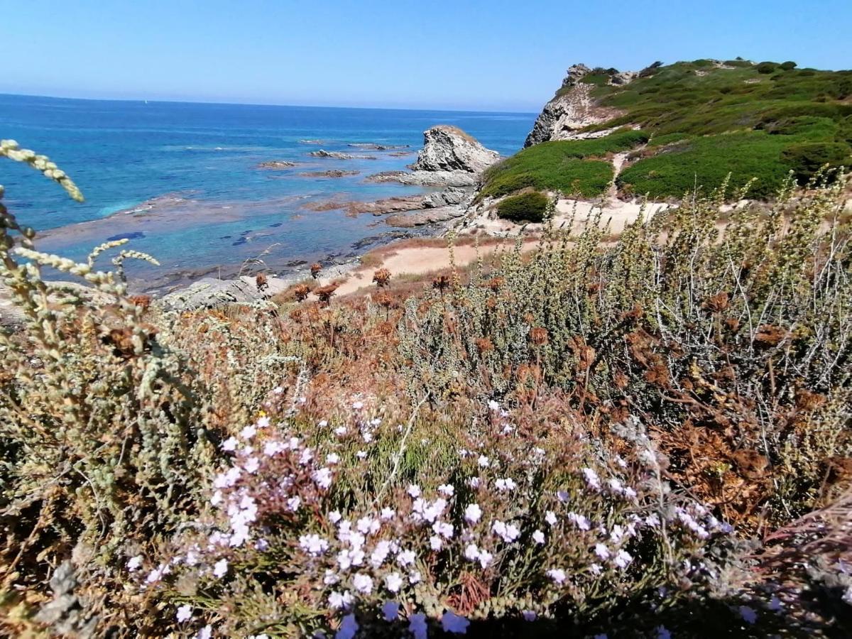 Le Palme Holidays Palmadula Dış mekan fotoğraf