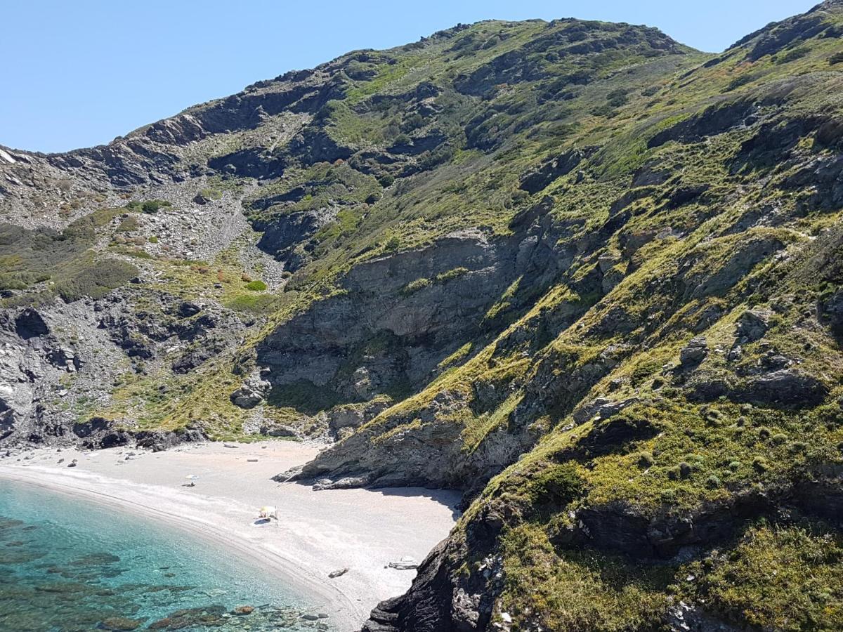 Le Palme Holidays Palmadula Dış mekan fotoğraf