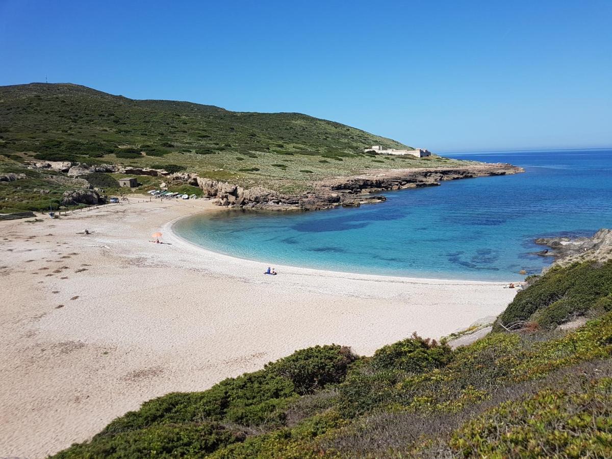 Le Palme Holidays Palmadula Dış mekan fotoğraf