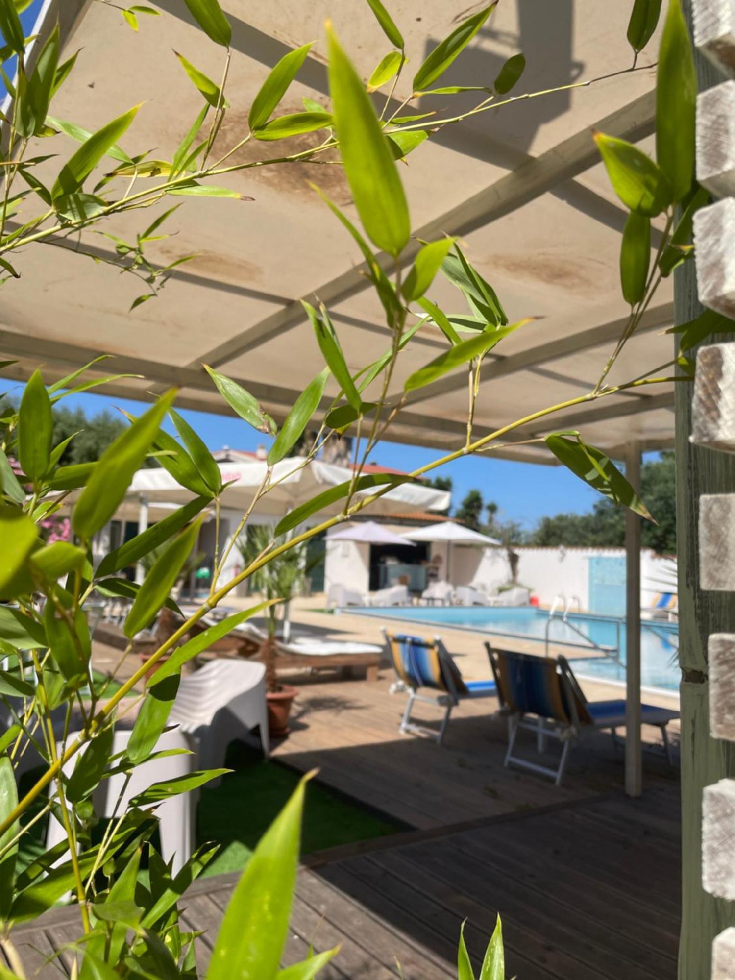 Le Palme Holidays Palmadula Dış mekan fotoğraf