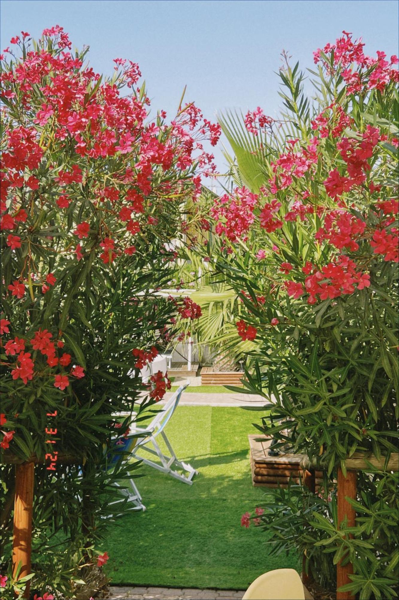 Le Palme Holidays Palmadula Dış mekan fotoğraf